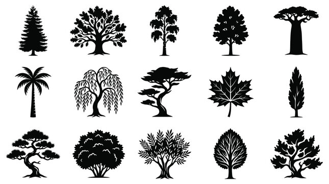 Black  White Silhouettes of Various Trees and Plants in Glyph Style for Nature Graphics