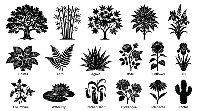 Botanical Plant Icons Set: Black  White Glyph Silhouettes of Trees, Flowers  Foliage Vector