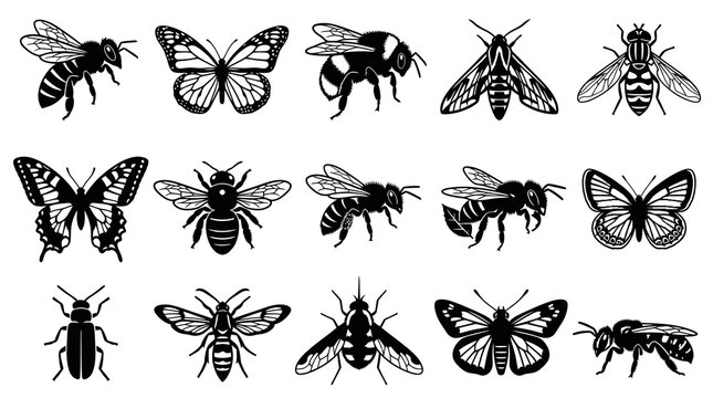 Black and White Insects Collection, Butterflies, Bees, Vector Line Art