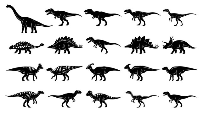 Black  White Dinosaur Silhouettes Collection, Vector Stock Asset for Education and Wildlife