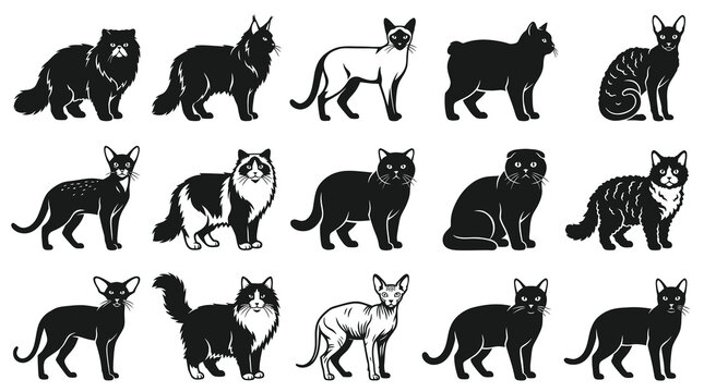 Domestic Cat Breeds Vector Silhouette Icon Set. Stylized Monochrome Collection of Feline Animals and Pets.