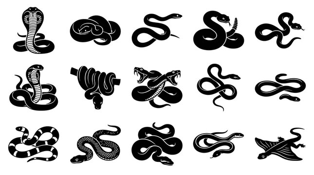 Snake Glyphs Vector Icon Set. Black Animal Silhouettes for Nature, Wildlife, Symbolism, and Tattoo Designs