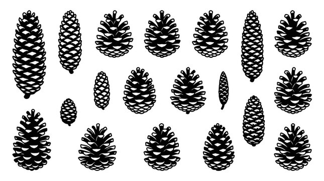 Black and White Pine Cones Vector Illustration - Nature  Seasonal Theme