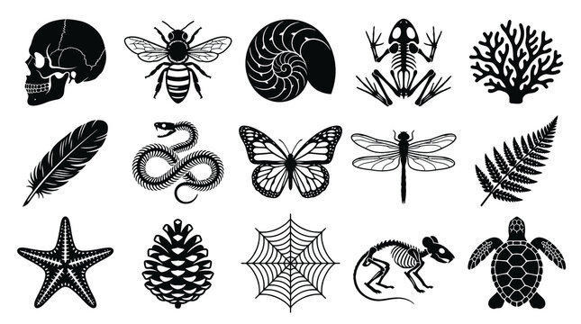 Black and White Vector Icons of Nature and Skeletons - Skull, Bee, Frog Skeleton, Turtle