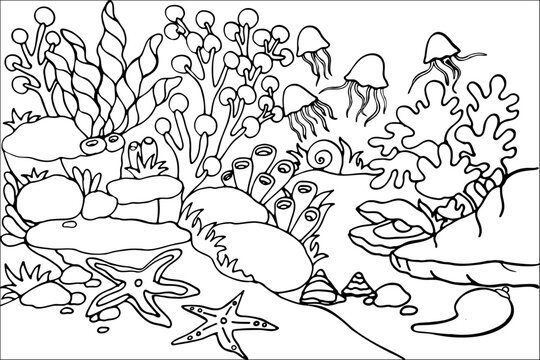 Underwater ocean life coloring page for kids with floating jellyfish, open clam shell with pearl, starfish, and coral reef line art vector illustration