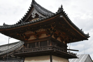 Fototapeta premium 奈良県 斑鳩町の法隆寺