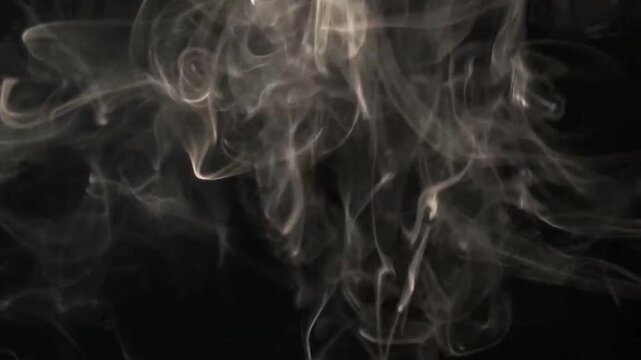 Slow motion white smoke swirls rising on black background