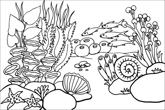 Underwater ocean life coloring page for kids with swimming school of fish, open clam shell, starfish, and coral reef line art vector illustration
