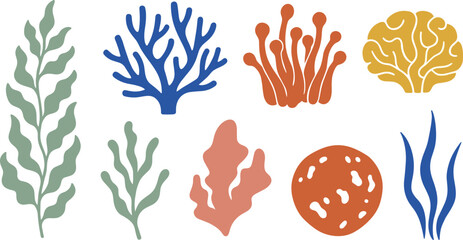 Underwater Marine Life Vector Element Collection Featuring Colorful Seaweed, Coral Reef Varieties, Kelp, Ocean Plants, and Silhouette Botanical Designs © Rownok