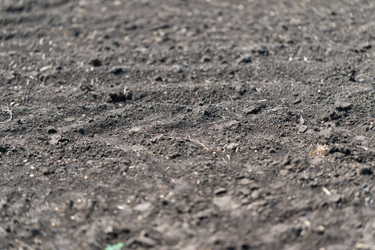 Dry cracked soil with scattered small stones and sparse vegetation