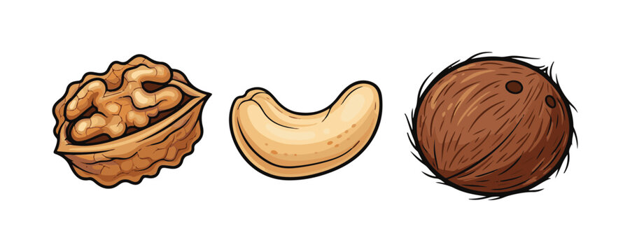 Natural and nutritious nut collection with detailed shell illustrations.