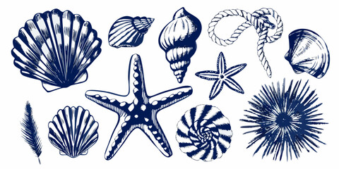 Blue Ink Illustration Of Sea Shells Starfish And Sea Urchin Set © Ajay