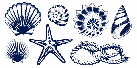 Blue ink illustration set of seashells starfish and nautical rope © Sujal