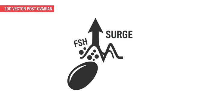 FSH Surge Triggers Ovulation: Medical Diagram