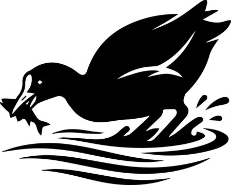 black coot bird hunting a fish