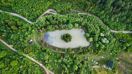 Overhead landscape of a forest pond ringed by dense trees and meandering paths. A small island of pines anchors the center while pale water contrasts with rich summer greens and earthy banks. © Chornogirskyi