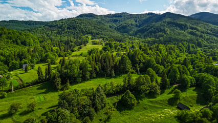 Rolling foothills cloaked in mixed forest surround sunny pastures and rustic clearings. Clouds drift over ridge lines while trails and homesteads dot the fertile landscape. © Oleh