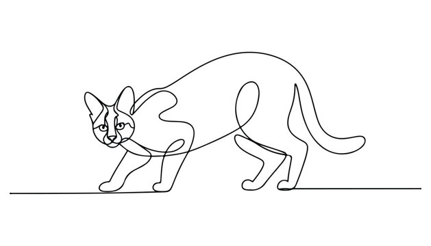 One continuous line illustration of an Genet animal , isolated on white background.