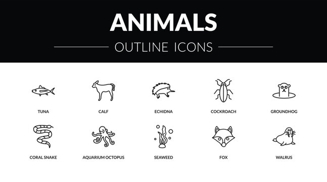 outline animals icons set - tuna, calf, coral snake, walrus. editable vector for web and mobile ui