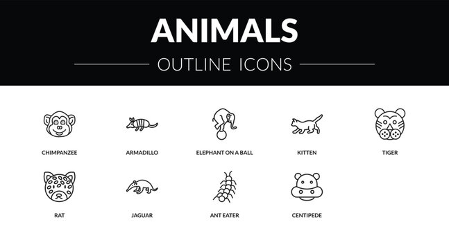 outline animals icons set - chimpanzee, armadillo, rat, hippo. editable vector for web and mobile ui