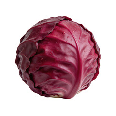 Obraz premium Fresh raw red cabbage head with water drops isolated on white background