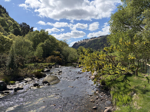 a stream in the mountains with trees and rocks