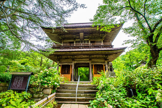 新緑に囲まれた歴史ある木造の寺院山門