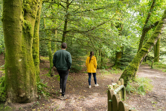 Couple hiking through a green mossy forest path