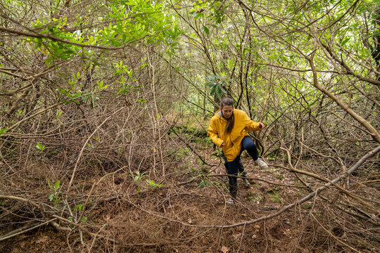Woman hiking through dense forest undergrowth on an adventurous trail