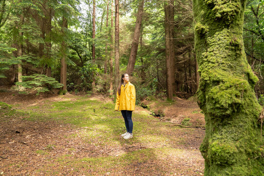 Young woman exploring green forest wearing yellow rain jacket