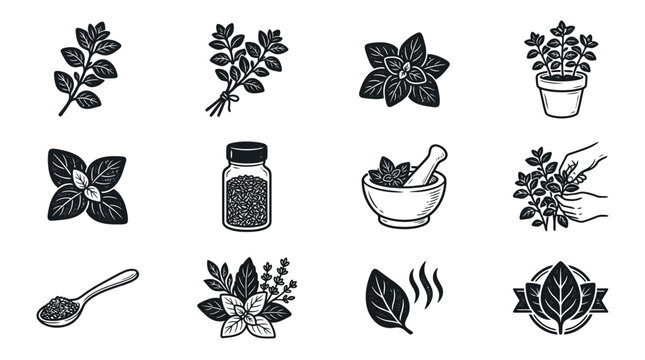 Herbs and Spices Icons Set: Basil, Oregano, Mint, Rosemary, Thyme - Vector Graphics