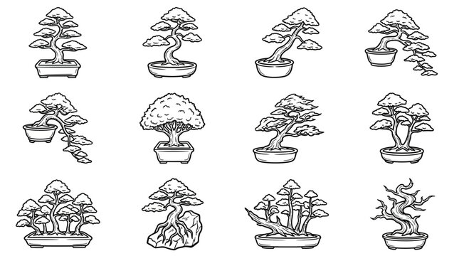 Collection of Bonsai Tree Illustrations: Hand-Drawn Art Style