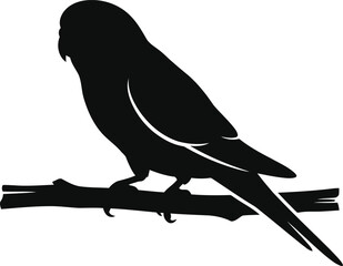 Obraz premium Silhouette of a budgerigar parakeet bird perched on a branch, vector illustration of a small pet parrot