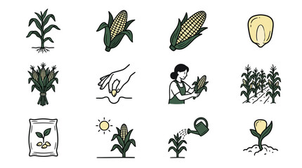 Fototapeta premium Corn Growth Cycle Icons: Planting, Harvesting, and Farming Process
