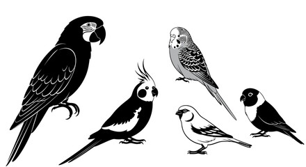 Fototapeta premium Detailed black and white vector illustrations featuring various pet and exotic bird species, including parrots and finches