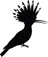 Hoopoe bird silhouette vector illustration elegant black silhouette of upupa epops with crest and long beak © Kayem