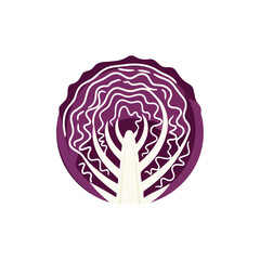 Obraz premium Fresh Purple Red Cabbage Cross Section Illustration for Healthy Food Design