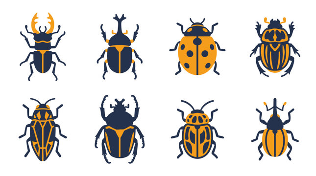 Collection of various colorful beetles insects.