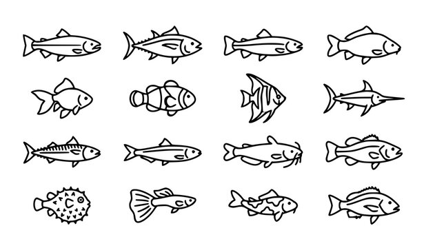 Outline Fish Species Icon Collection Featuring Freshwater and Marine Aquatic Animals