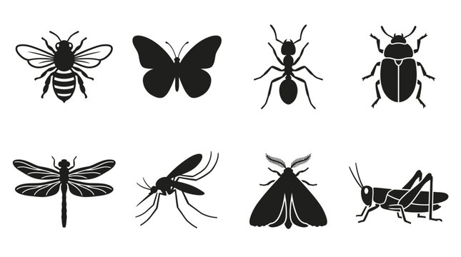 Insects silhouettes on white background.