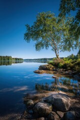 Obraz premium serene Finnish lake district landscape with tree and calm water reflection
