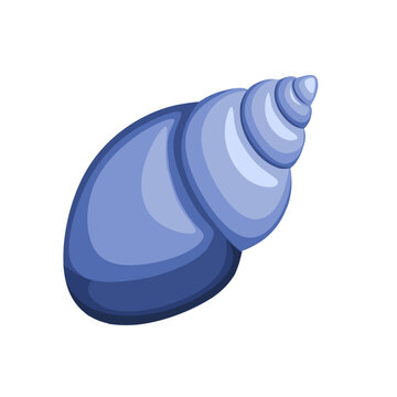 blue sea shell vector illustration