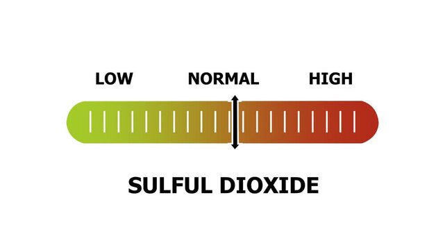 sulful dioxide level indicator scale. Low normal & high meter infographic animation. Showing high sulful dioxide level color gauge indicator. on a white background 4k animation video