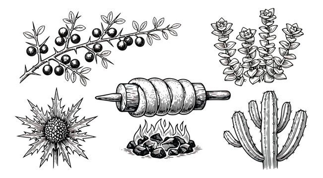 Vintage hand drawn botanical and food illustrations, set of 5 engraved vector elements, rustic black and white sketches for menu and branding