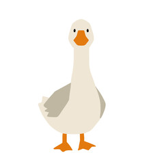 goose on white © Nova