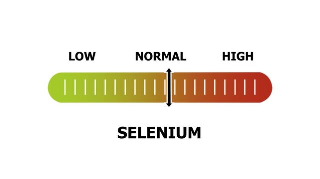 selenium level indicator scale. Low normal & high meter infographic animation. Showing high selenium level color gauge indicator. on a white background 4k animation video