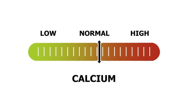 calcium level indicator scale. Low normal & high meter infographic animation. Showing high calcium level color gauge indicator. on a white background 4k animation video