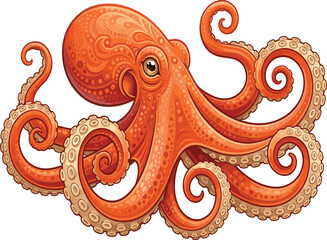 Orange octopus vector illustration, detailed marine life graphic design, isolated underwater ocean animal art, curling tentacles, wild sea creature wildlife © Mdjoshelahamed4400 
