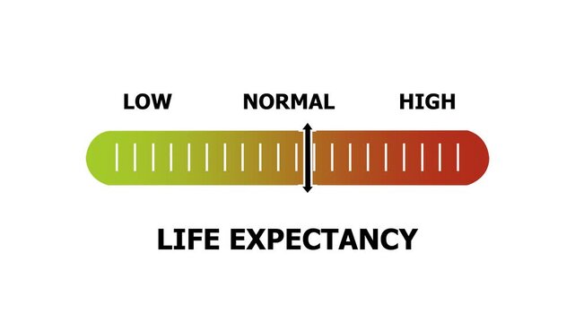 life expectancy level indicator scale. Low normal & high meter infographic animation. Showing high life expectancy level color gauge indicator. on a white background 4k animation video