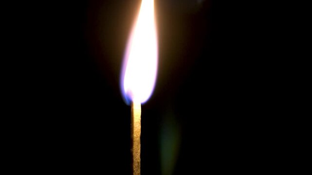 A match is lit and burns with fire on a black background, a match burns close up.mp4, A match is lit and burns with fire on a black background